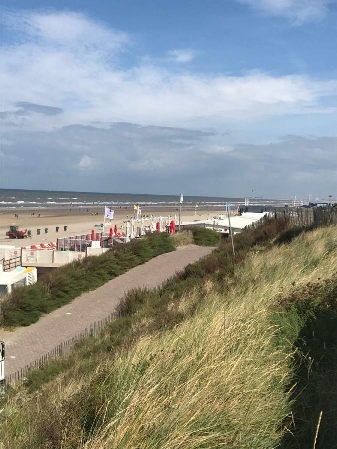 Zomerhuis Aan Zee Zandvoort Ngoại thất bức ảnh